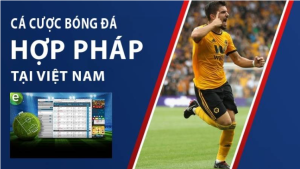 Trang web cá cược bóng đá hợp pháp